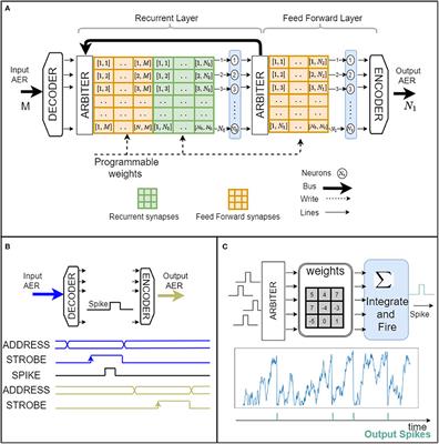 μBrain: An Event-Driven and Fully Synthesizable Architecture for Spiking Neural Networks